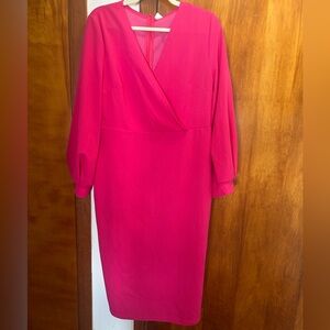 Chic Fuchsia Long Sleeve Dress